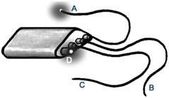 Physiological research instrument development 