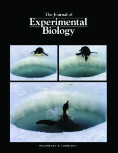 JEB cover